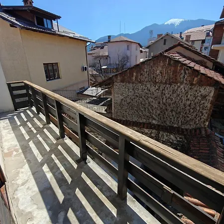Chalet White Wolf *